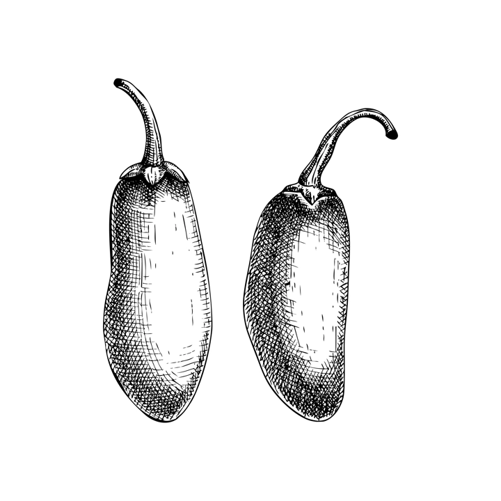 Ripe jalapeno chili pepper sketches set. Hot spices, vegetarian, healthy food hand drawn vector illustration. Mexican cuisine menu design elements. Jalapeno with slices and seeds drawings